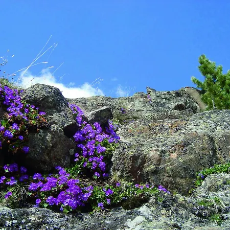 Geierwallihof Klotz Konrad Keg