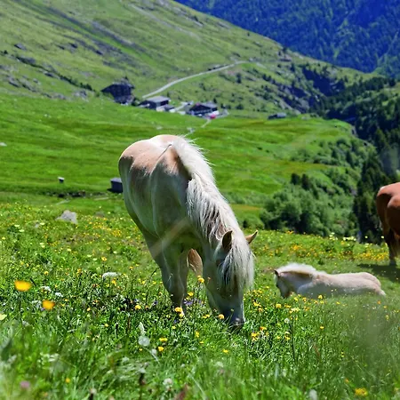 Geierwallihof Klotz Konrad Keg