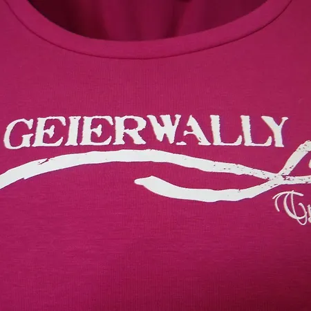 Geierwallihof Klotz Konrad Keg ホテル フェント