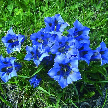 Geierwallihof Klotz Konrad Keg Hotel Vent