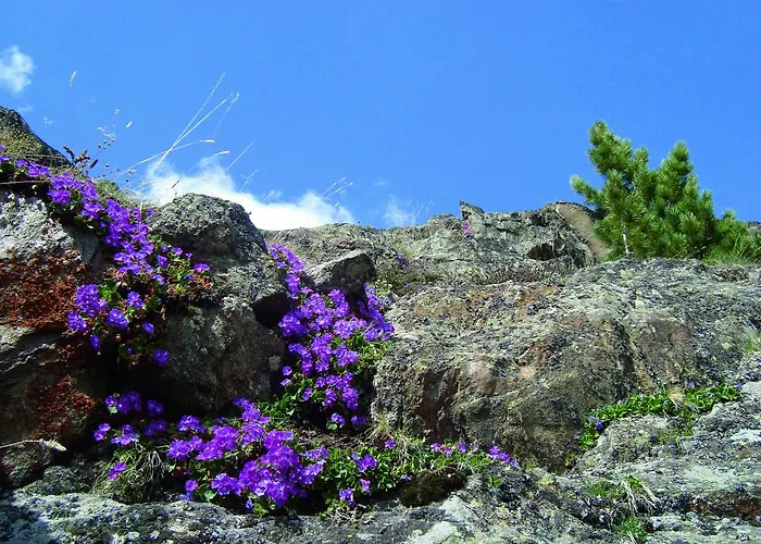 Geierwallihof Klotz Konrad Keg