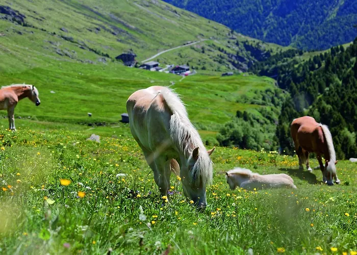 Geierwallihof Klotz Konrad Keg