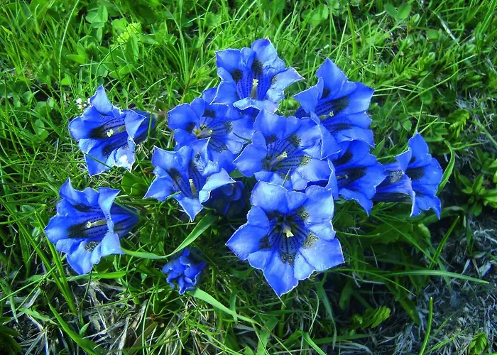 Geierwallihof Klotz Konrad Keg Hotel Vent