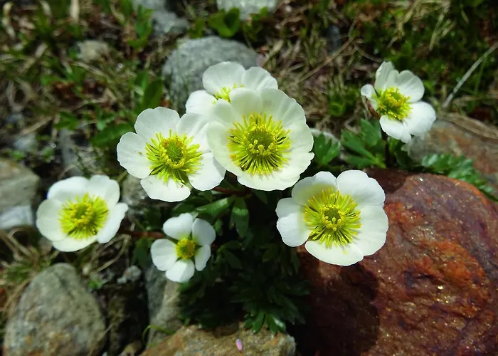 Hotel Geierwallihof Klotz Konrad Keg Vent